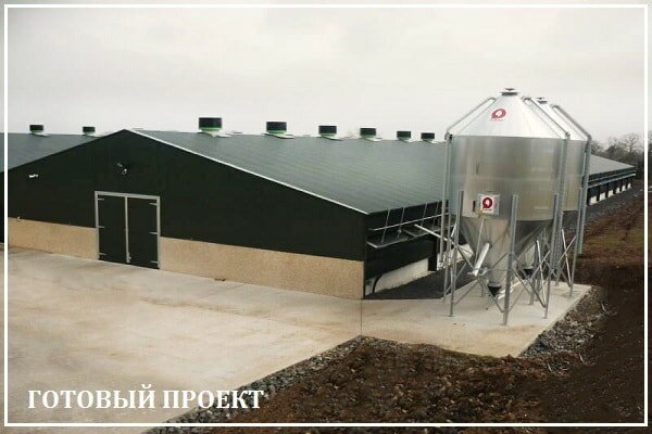 Этапы возведения птицефабрики от завода ВелесТент-рцв